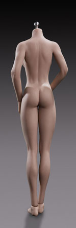 1/6 Super Flexible Female Seamless Body Santan Middle Bust Asian Female Body S25B　