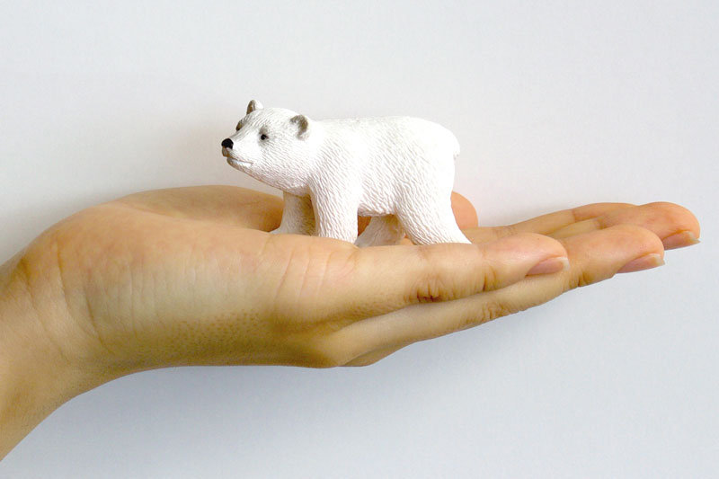 My Little Zoo -Bokuno Watashino Tenohira Doubutsuen- Polar Bear Cub