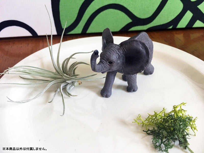 My Little Zoo -Bokuno Watashino Tenohira Doubutsuen- African Elephant (Baby)