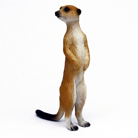 My Little Zoo -Bokuno Watashino Tenohira Doubutsuen- Meerkat