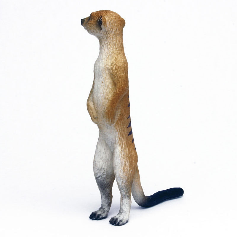 My Little Zoo -Bokuno Watashino Tenohira Doubutsuen- Meerkat