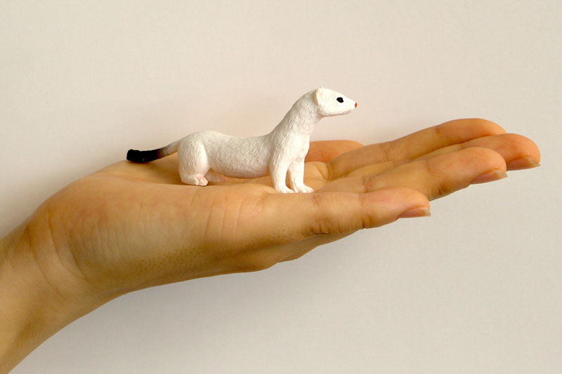 My Little Zoo -Bokuno Watashino Tenohira Doubutsuen- Stoat/White