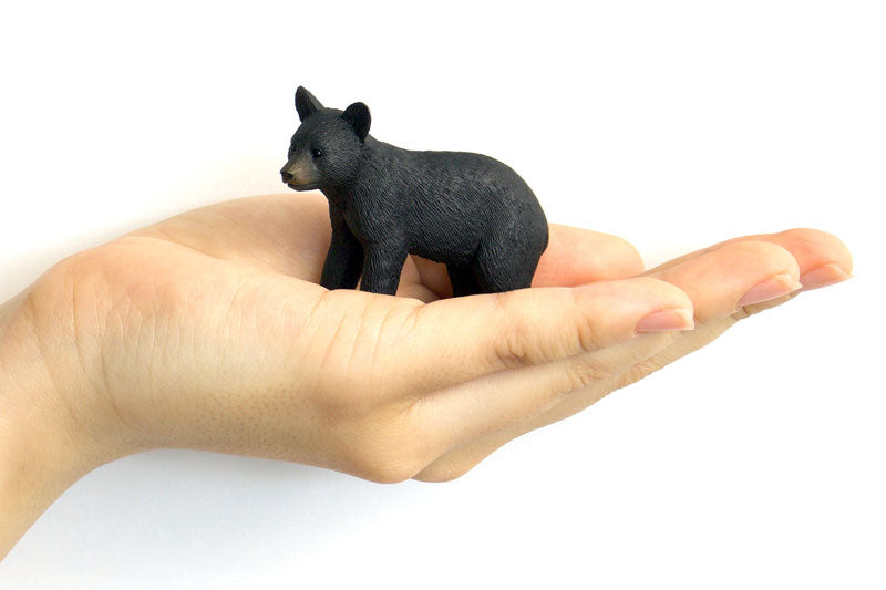 My Little Zoo -Bokuno Watashino Tenohira Doubutsuen- Black Bear Cub