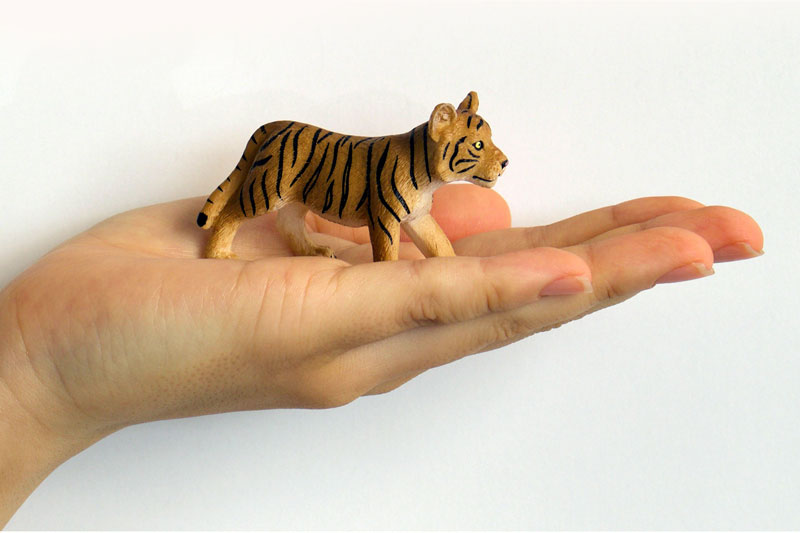 My Little Zoo -Bokuno Watashino Tenohira Doubutsuen- Bengal Tiger (Cub)
