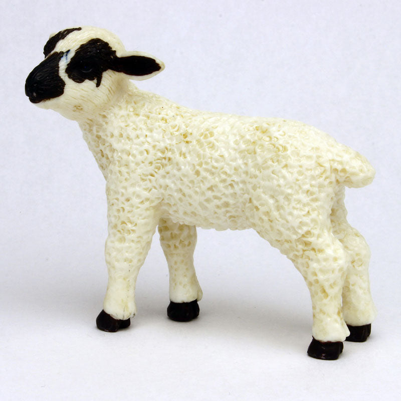 My Little Zoo -Bokuno Watashino Tenohira Doubutsuen- Sheep/Black-faced (Baby)