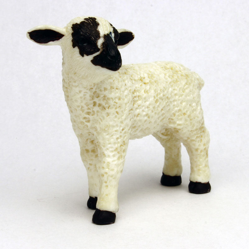 My Little Zoo -Bokuno Watashino Tenohira Doubutsuen- Sheep/Black-faced (Baby)