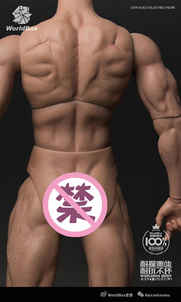 1/6 Male Basic Body Tall Massive Ripped(Provisional Pre-order)　
