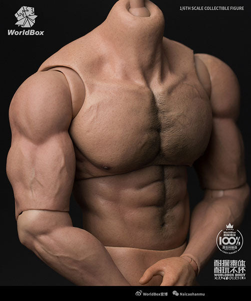 1/6 Male Basic Body Tall Massive Ripped(Provisional Pre-order)　