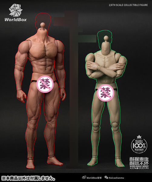 1/6 Male Basic Body Tall Massive Ripped(Provisional Pre-order)　