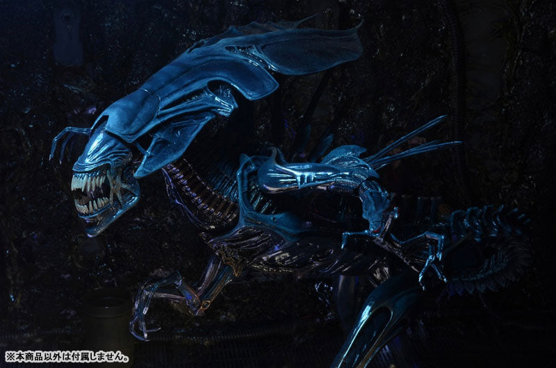 Alien / 7 Inch Action Figure Series Ultra Deluxe: Alien Queen