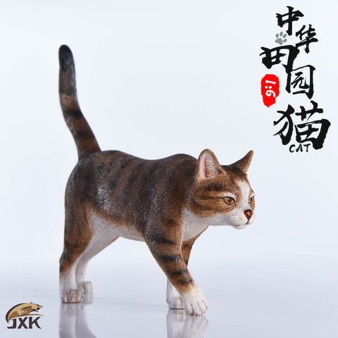 1/6 Chinese Cat A(Provisional Pre-order)