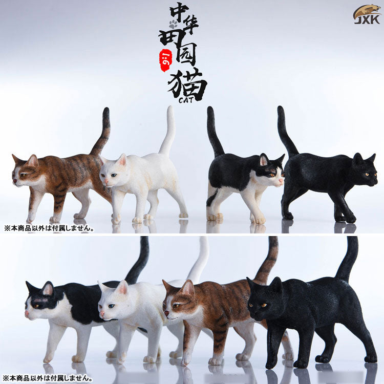 1/6 Chinese Cat A(Provisional Pre-order)