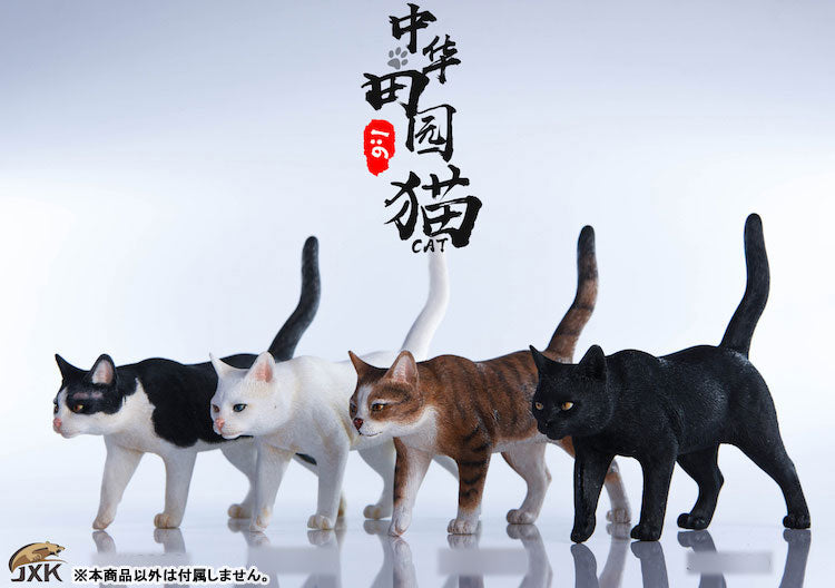 1/6 Chinese Cat A(Provisional Pre-order)