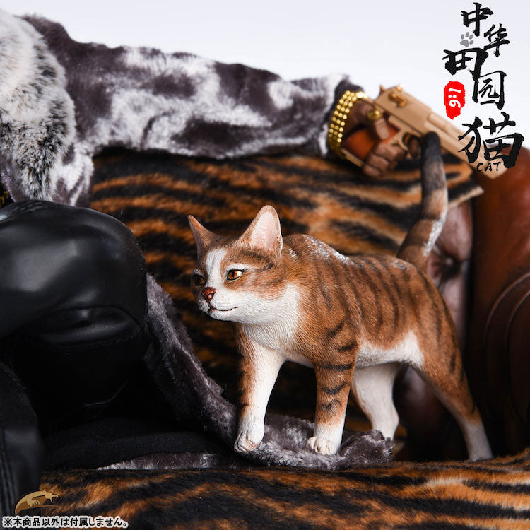 1/6 Chinese Cat A(Provisional Pre-order)