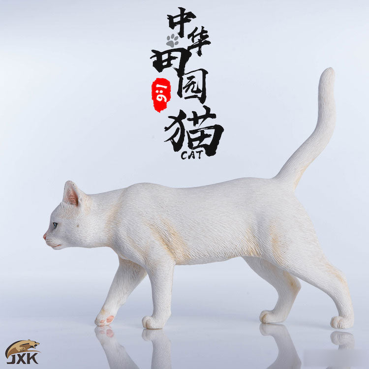 1/6 Chinese Cat B(Provisional Pre-order)