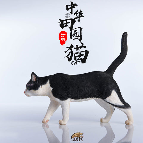 1/6 Chinese Cat C(Provisional Pre-order)　