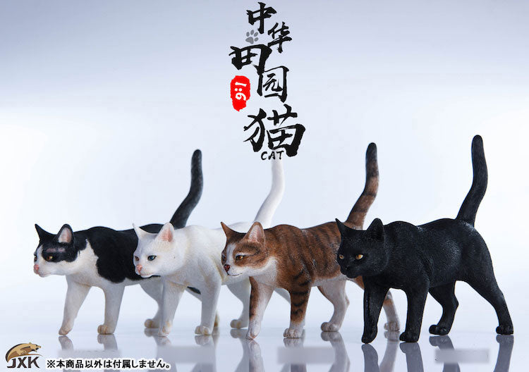1/6 Chinese Cat C(Provisional Pre-order)　