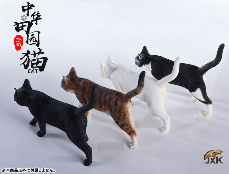 1/6 Chinese Cat D(Provisional Pre-order)