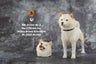 1/6 Shibainu Statue 005(Provisional Pre-order)