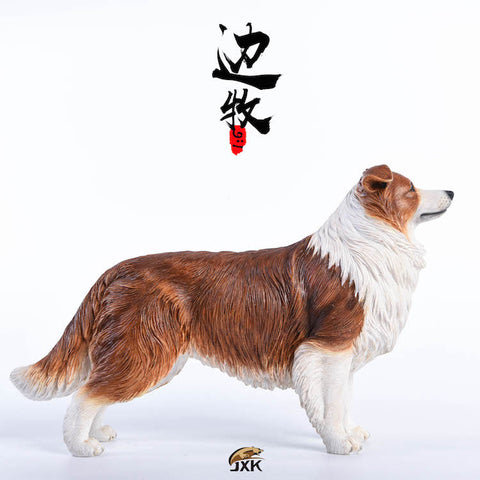 1/6 Border Collie B(Provisional Pre-order)