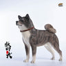 1/6 Akita Inu C(Provisional Pre-order)