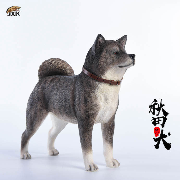 1/6 Akita Inu C(Provisional Pre-order)