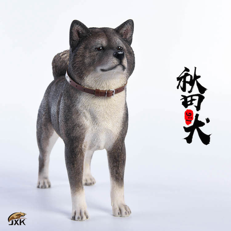 1/6 Akita Inu C(Provisional Pre-order)