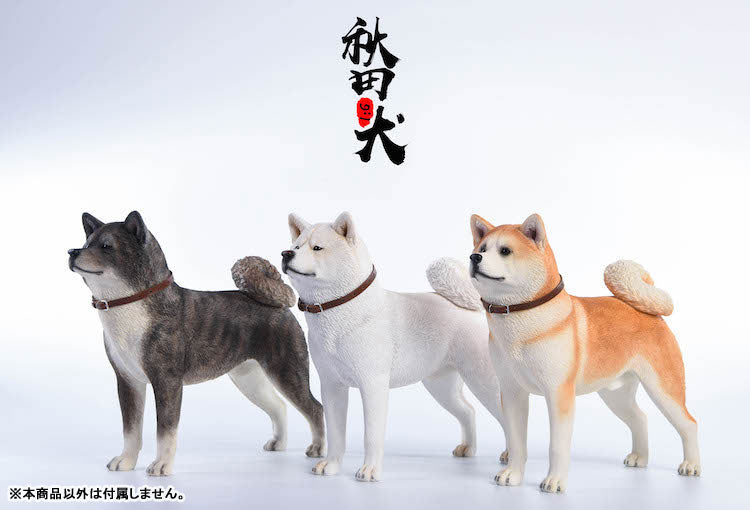 1/6 Akita Inu C(Provisional Pre-order)