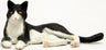 1/12 Japanese Cat Tuxedo Cat (Lying Down)