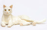 1/12 Japanese Cat White Cat (Lying Down)