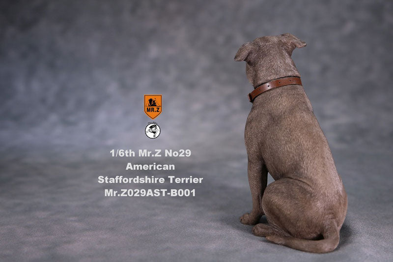 1/6 American Staffrodshire Terrier Statue Sitting B 001(Provisional Pre-order)　