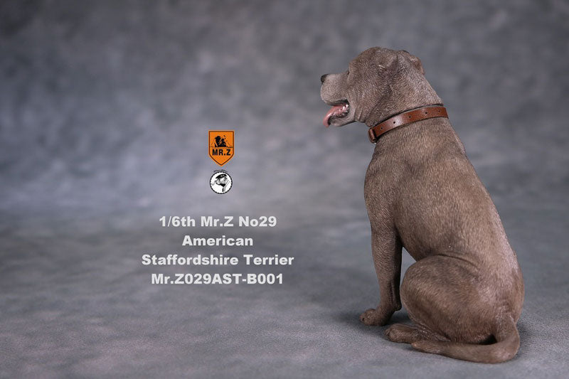 1/6 American Staffrodshire Terrier Statue Sitting B 001(Provisional Pre-order)　