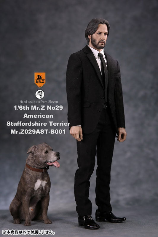 1/6 American Staffrodshire Terrier Statue Sitting B 001(Provisional Pre-order)　