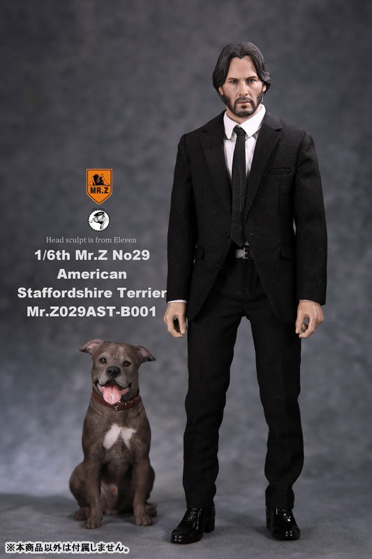 1/6 American Staffrodshire Terrier Statue Sitting B 001(Provisional Pre-order)　