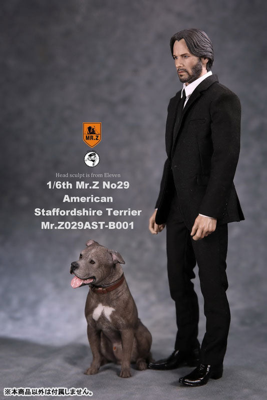 1/6 American Staffrodshire Terrier Statue Sitting B 001(Provisional Pre-order)　