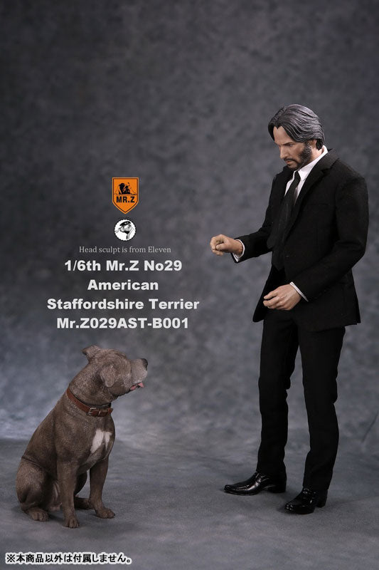 1/6 American Staffrodshire Terrier Statue Sitting B 001(Provisional Pre-order)　