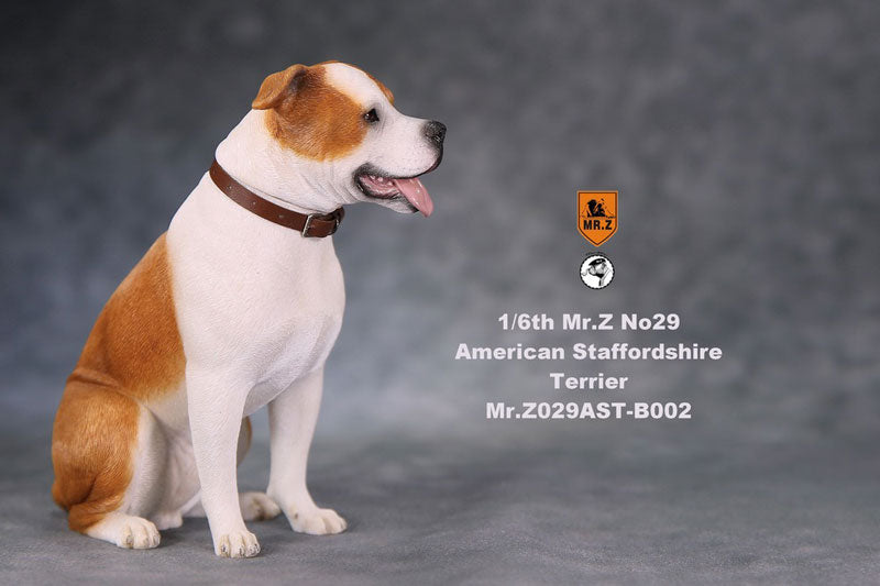 1/6 American Staffrodshire Terrier Statue Sitting B 002(Provisional Pre-order)　