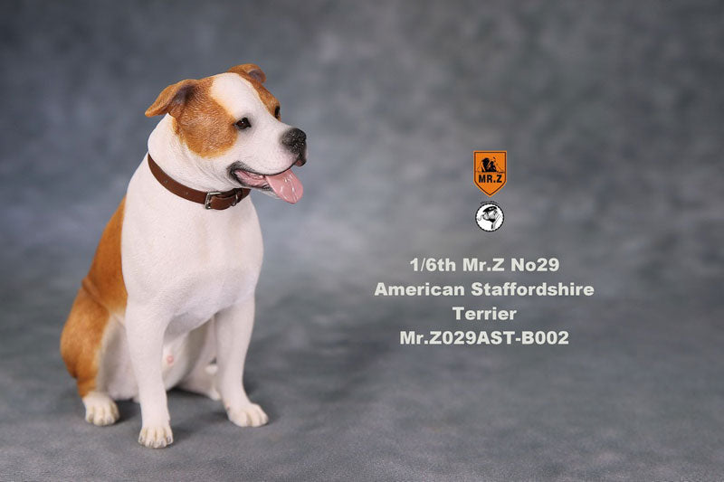 1/6 American Staffrodshire Terrier Statue Sitting B 002(Provisional Pre-order)　