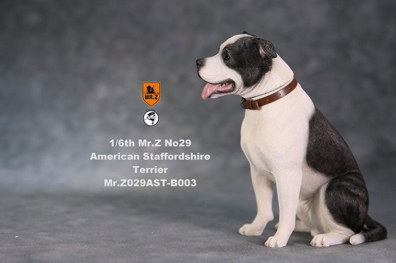 1/6 American Staffrodshire Terrier Statue Sitting B 003(Provisional Pre-order)　