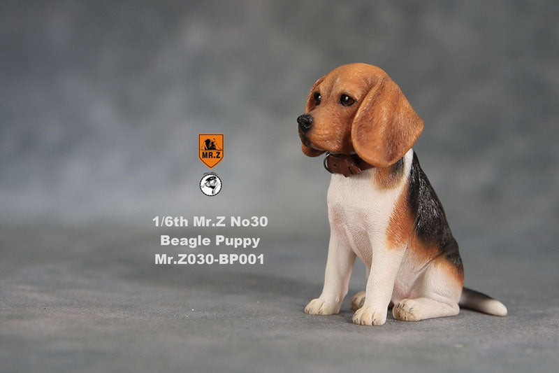 1/6 Beagle Puppy Statue 001(Provisional Pre-order)　