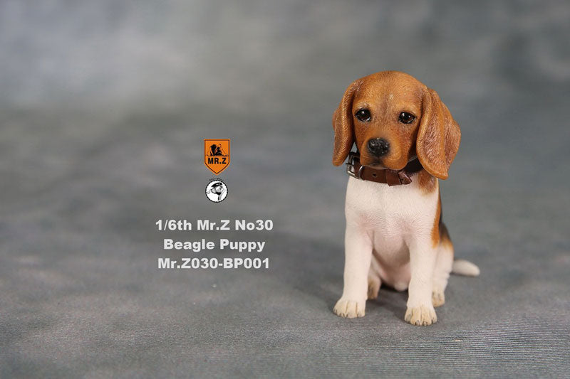 1/6 Beagle Puppy Statue 001(Provisional Pre-order)　