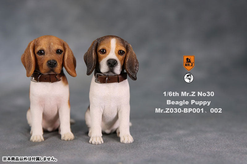 1/6 Beagle Puppy Statue 001(Provisional Pre-order)　