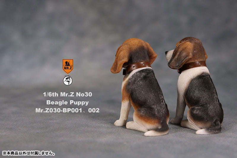 1/6 Beagle Puppy Statue 001(Provisional Pre-order)　