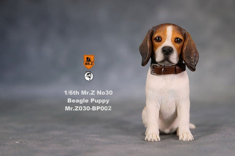 1/6 Beagle Puppy Statue 002(Provisional Pre-order)　