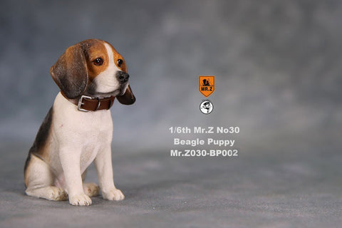 1/6 Beagle Puppy Statue 002(Provisional Pre-order)　