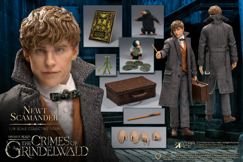 Real Master Series Fantastic Beasts Newt Scamander 1/8 Collectable Figure(Provisional Pre-order)
