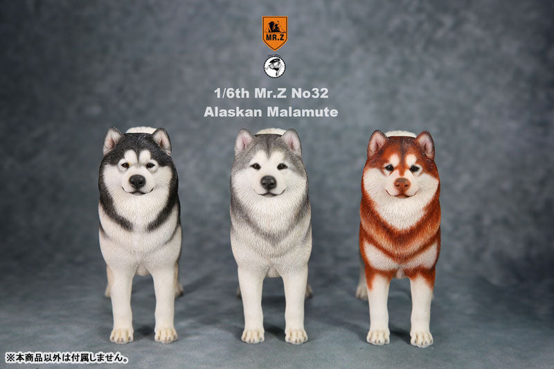 1/6 Alaskan Malamute Statue 001(Provisional Pre-order)　
