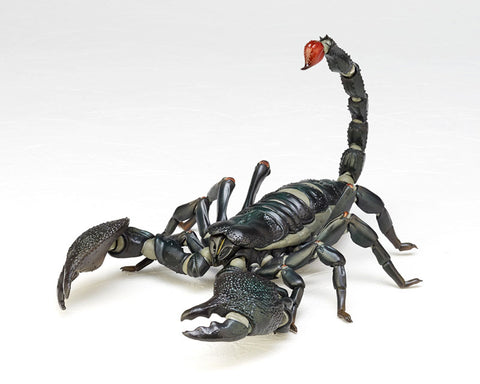 REVOGEO RG001 - Revoltech - Pandinus Imperator (Emperor Scorpion) (Kaiyodo)