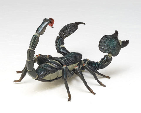 REVOGEO RG001 - Revoltech - Pandinus Imperator (Emperor Scorpion) (Kaiyodo)