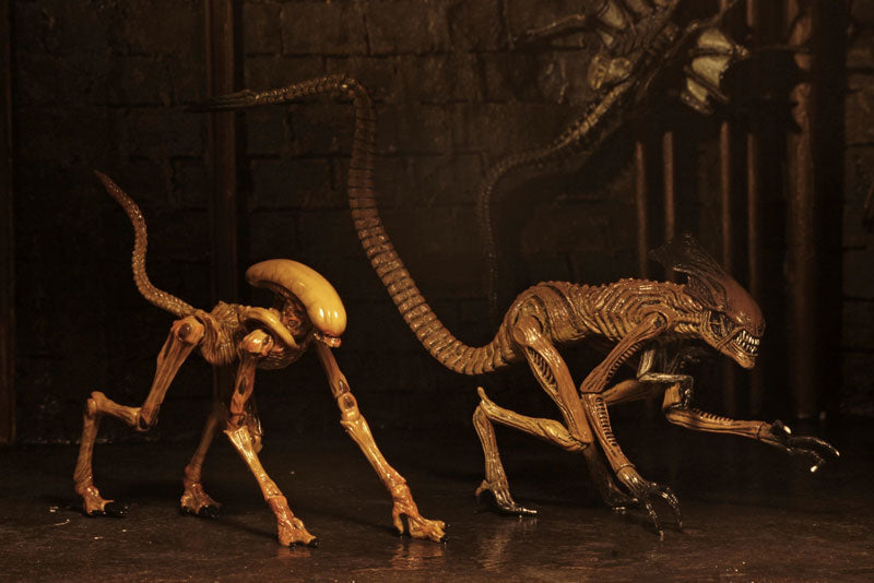 Alien / 7 Inch Action Figure Series: Alien 3 Creature Pack